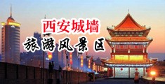 男生把鸡巴插到女生的逼逼里的网站中国陕西-西安城墙旅游风景区